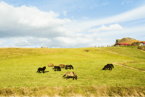 Como é o planejamento para a compra de um consórcio de imóvel rural?